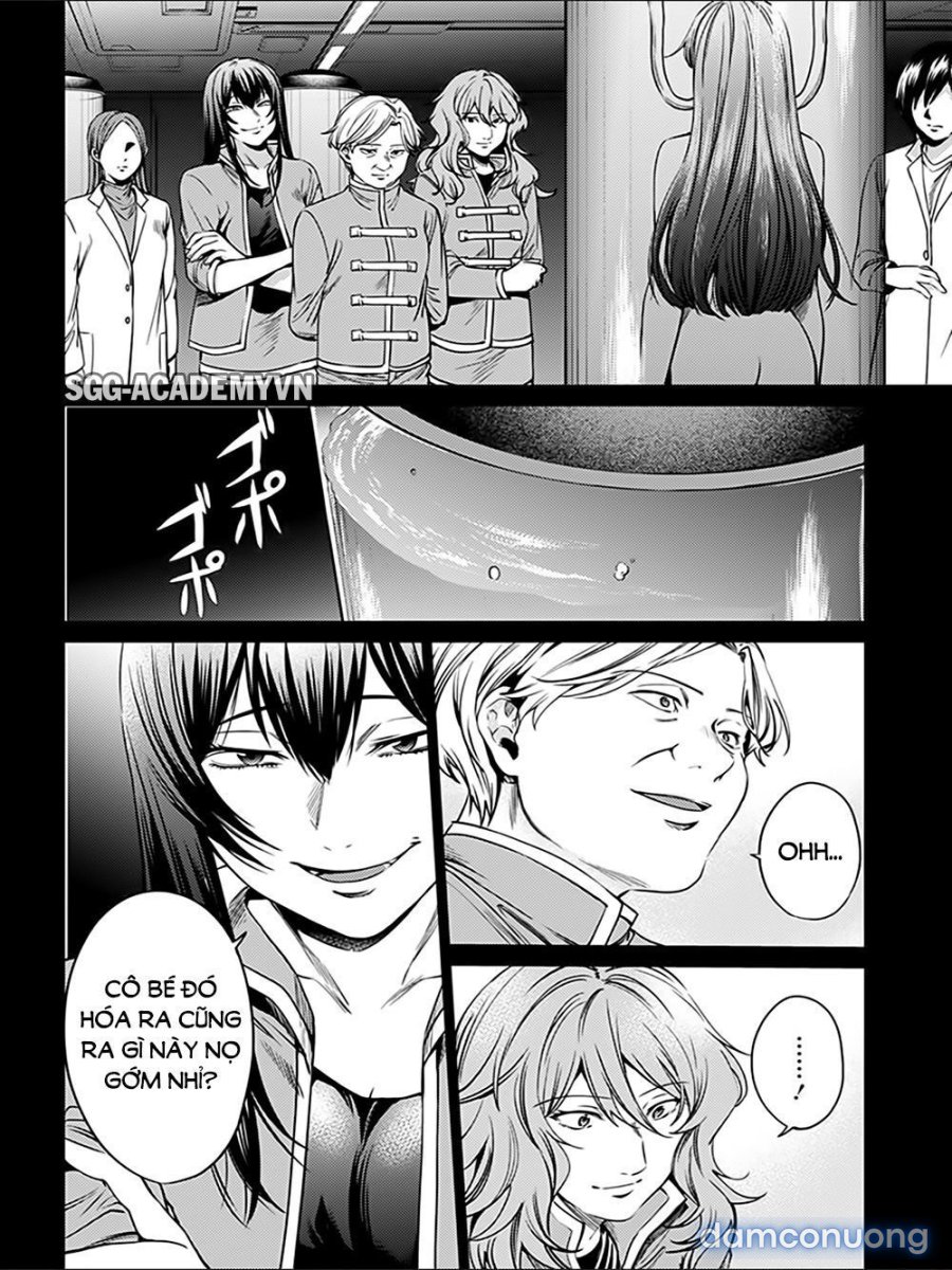 Dàn Harem Cuối Cùng 