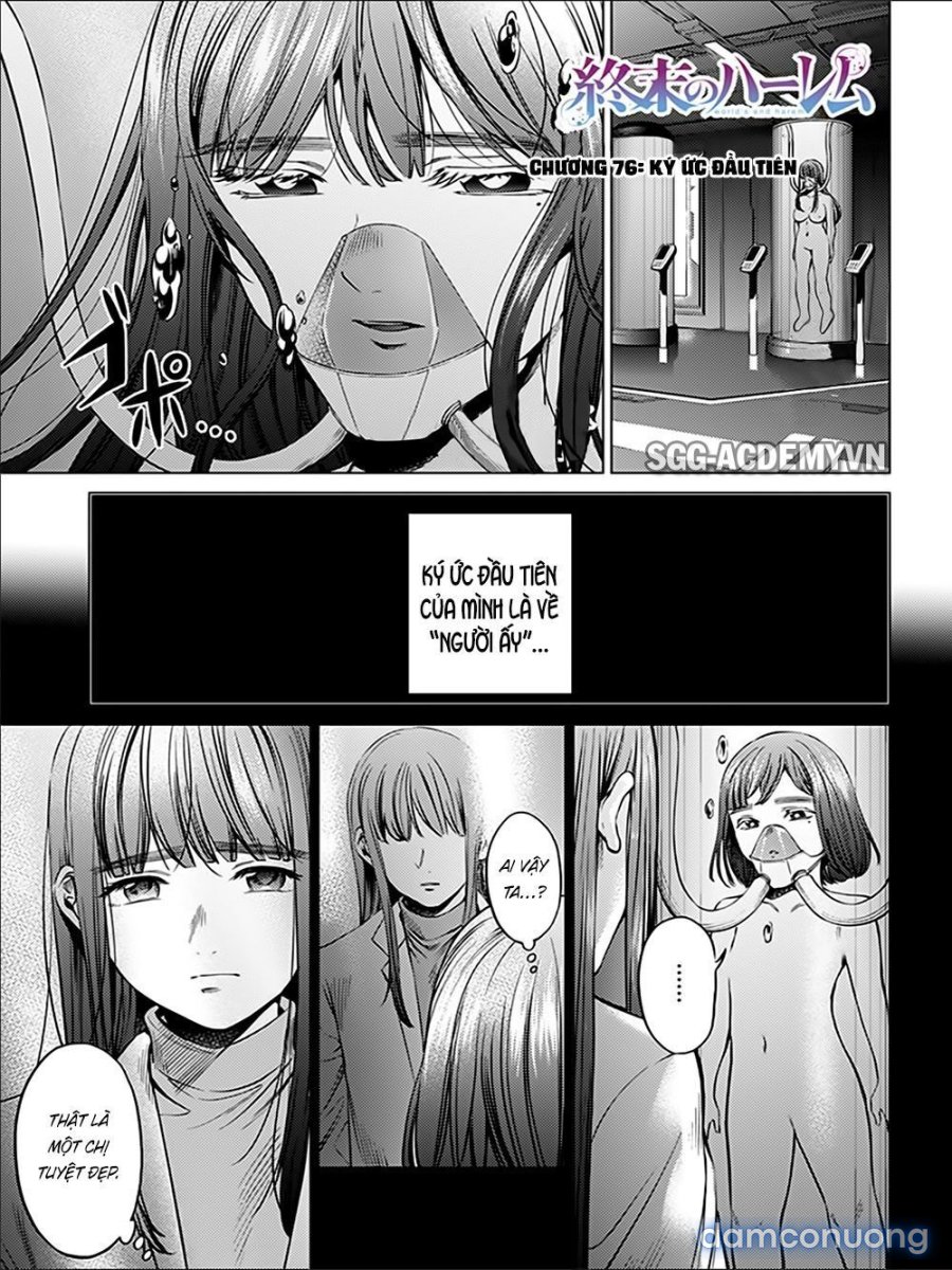 Dàn Harem Cuối Cùng 