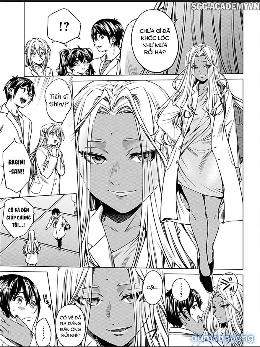 Dàn Harem Cuối Cùng 