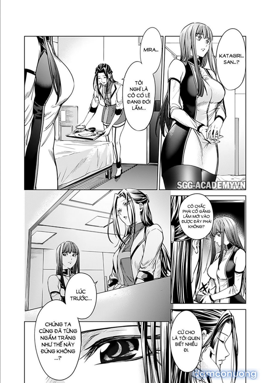 Dàn Harem Cuối Cùng 