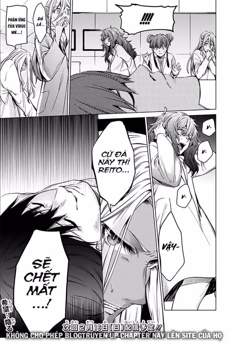 Dàn Harem Cuối Cùng 