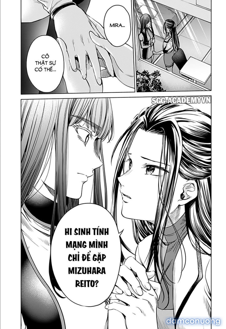 Dàn Harem Cuối Cùng 