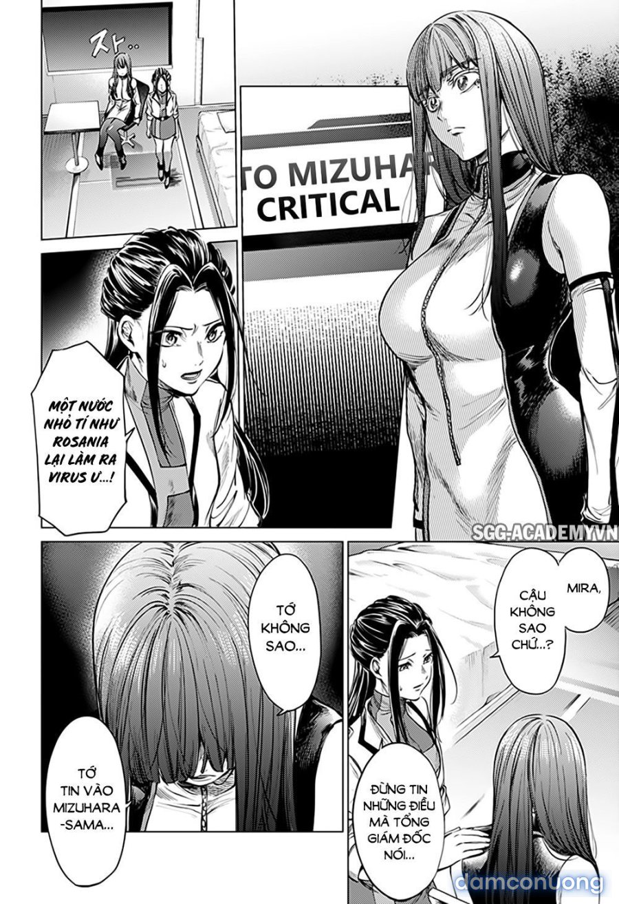 Dàn Harem Cuối Cùng 