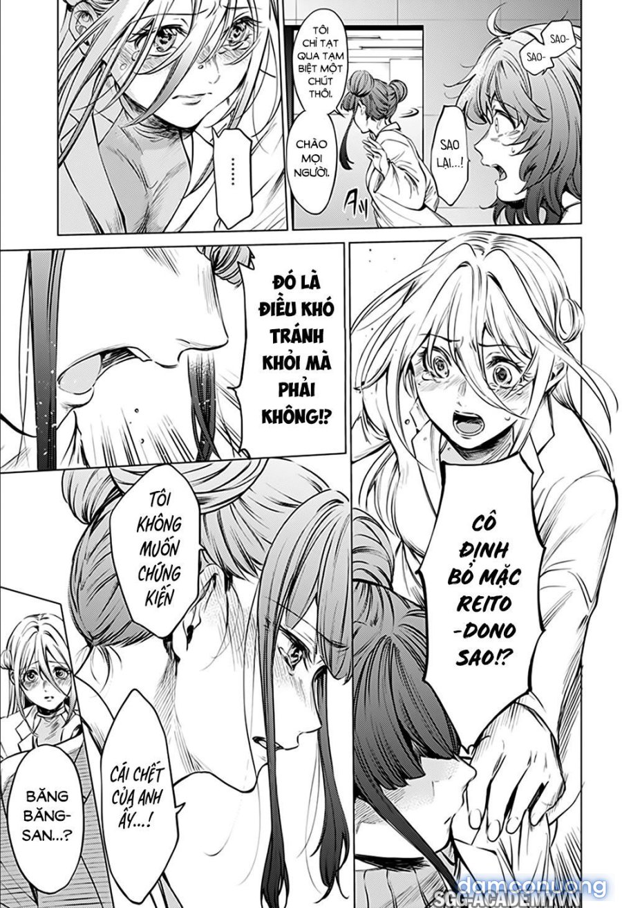 Dàn Harem Cuối Cùng 