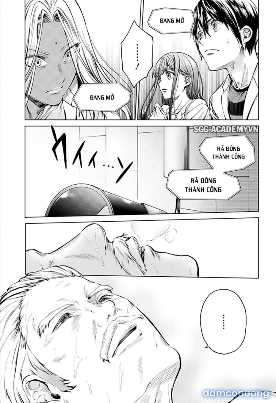 Dàn Harem Cuối Cùng 