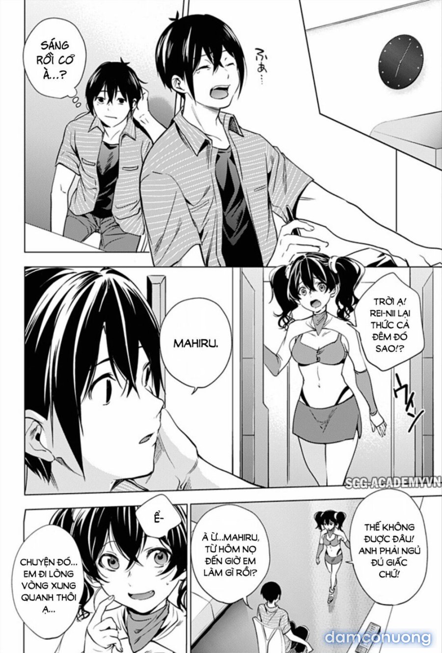Dàn Harem Cuối Cùng 