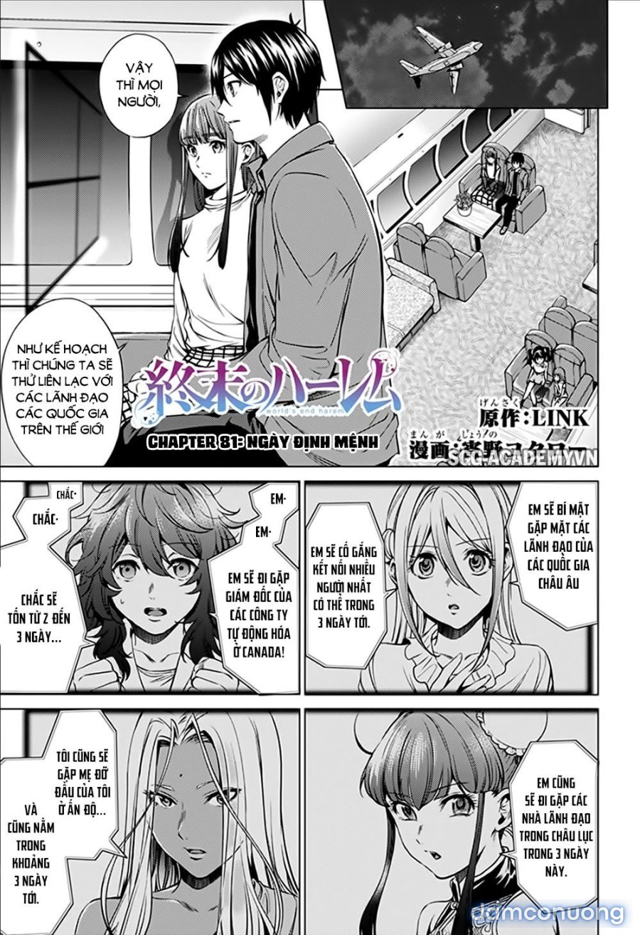 Dàn Harem Cuối Cùng 