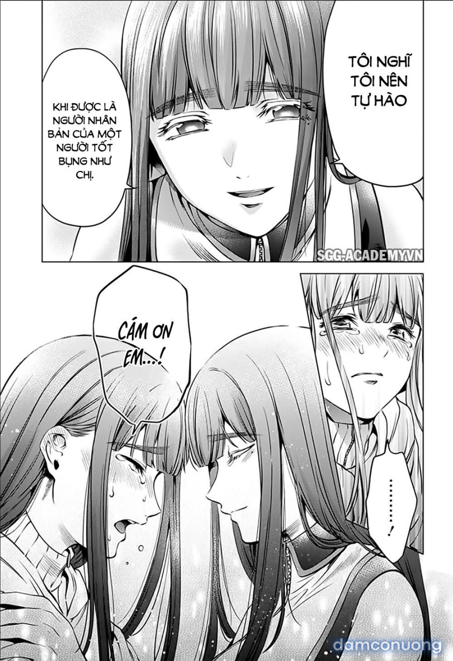 Dàn Harem Cuối Cùng 