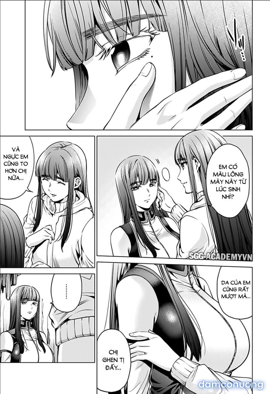 Dàn Harem Cuối Cùng 