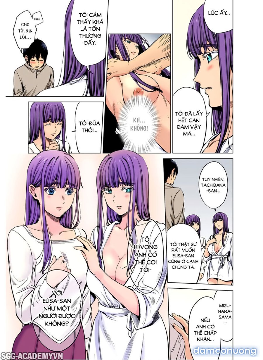 Dàn Harem Cuối Cùng 
