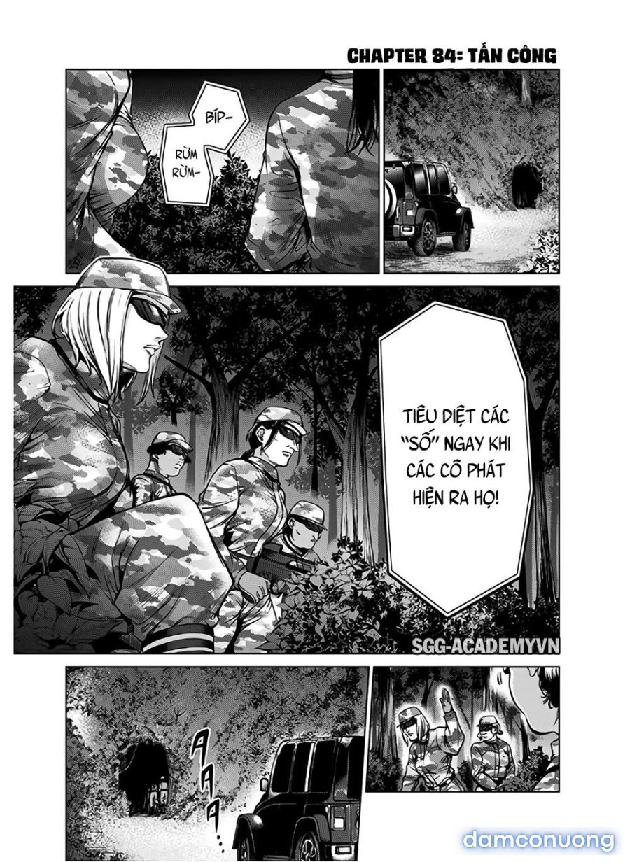 Dàn Harem Cuối Cùng 