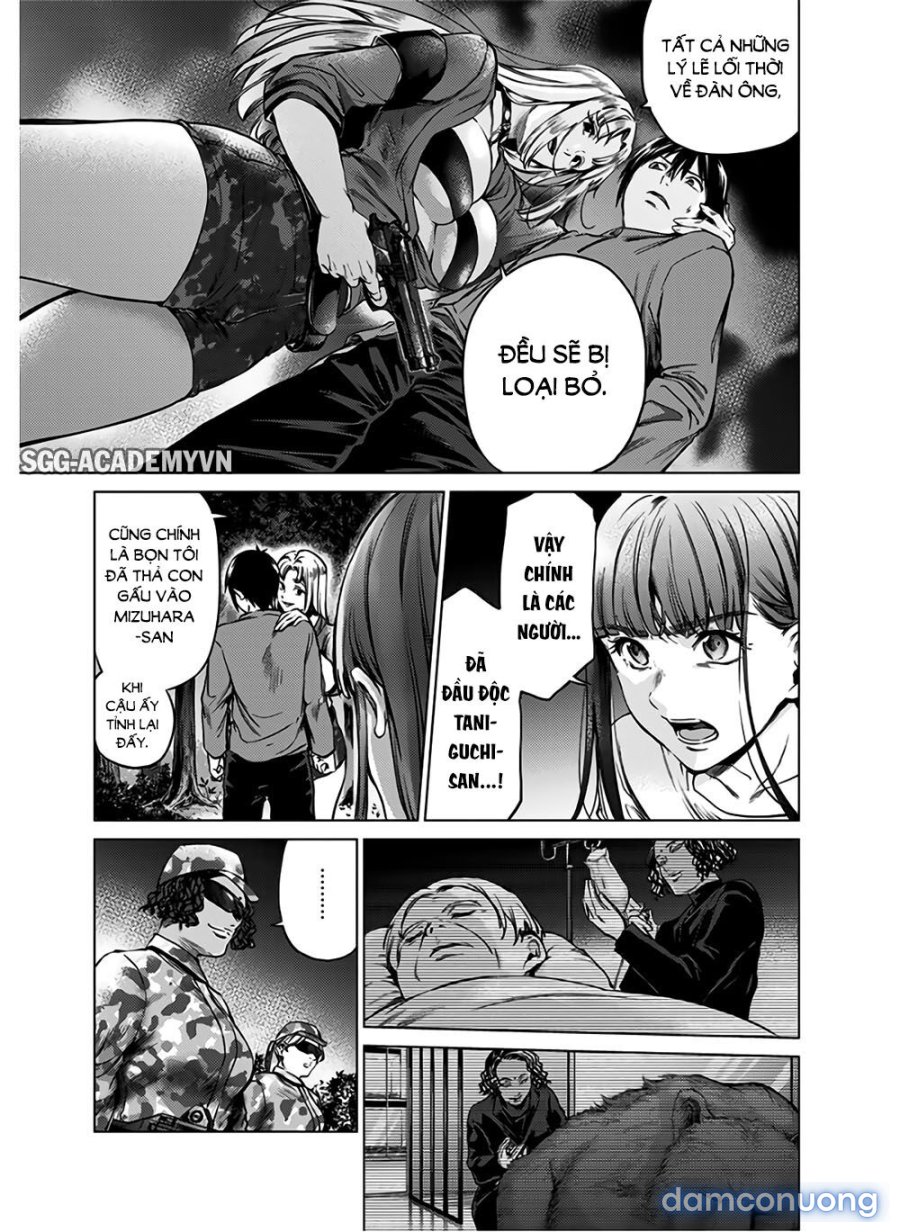 Dàn Harem Cuối Cùng 