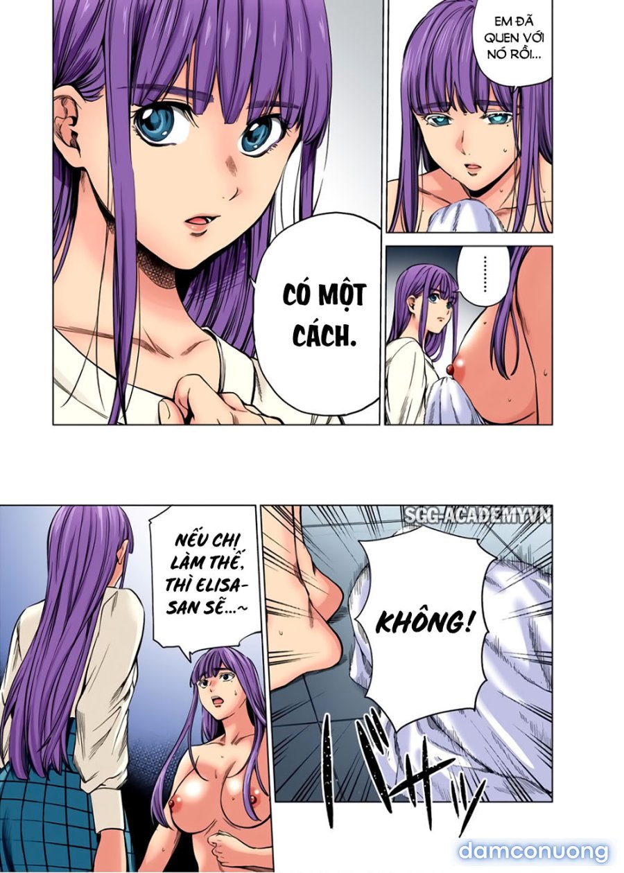 Dàn Harem Cuối Cùng 
