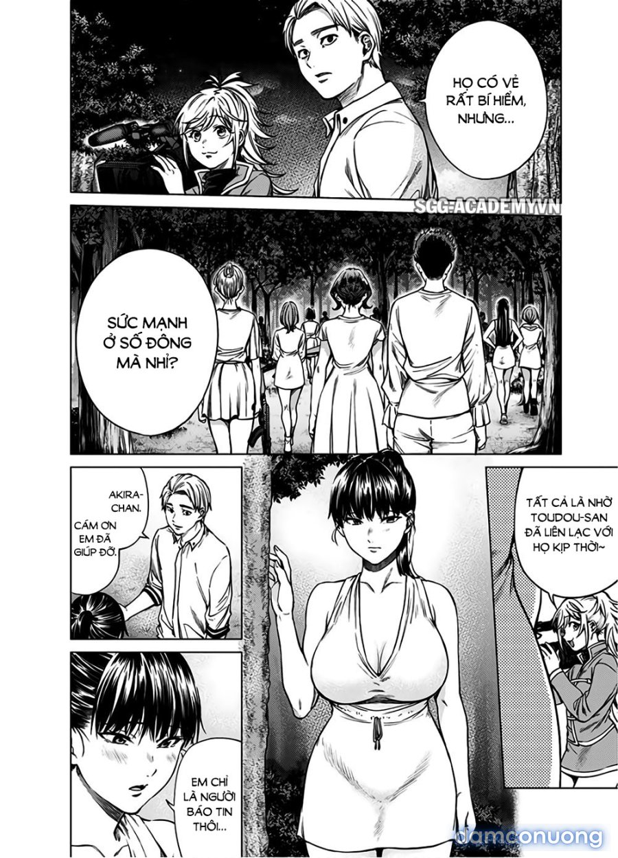 Dàn Harem Cuối Cùng 