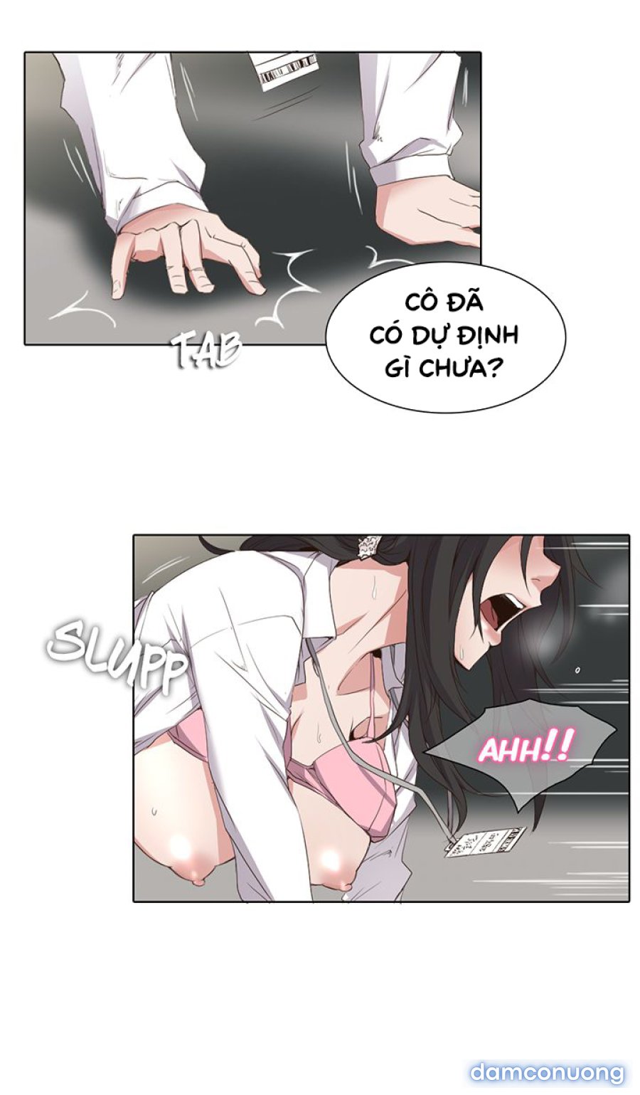Hoạ Sĩ Khiêu Dâm 