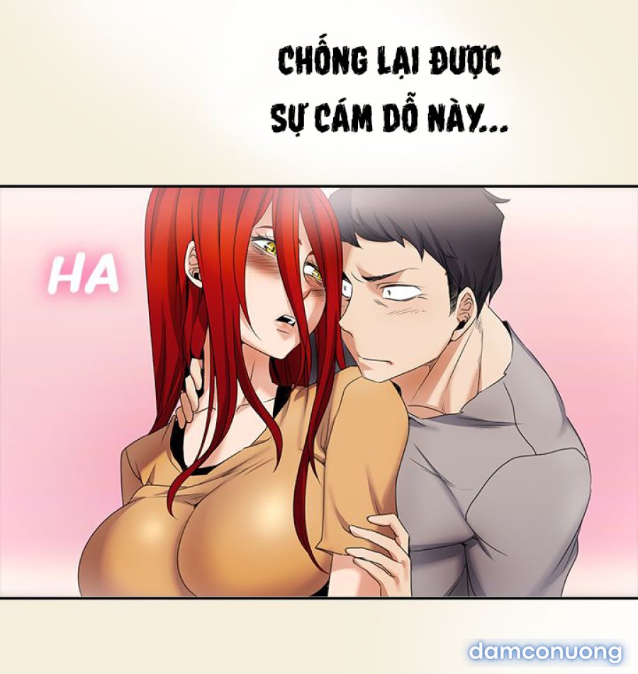 Hoạ Sĩ Khiêu Dâm 