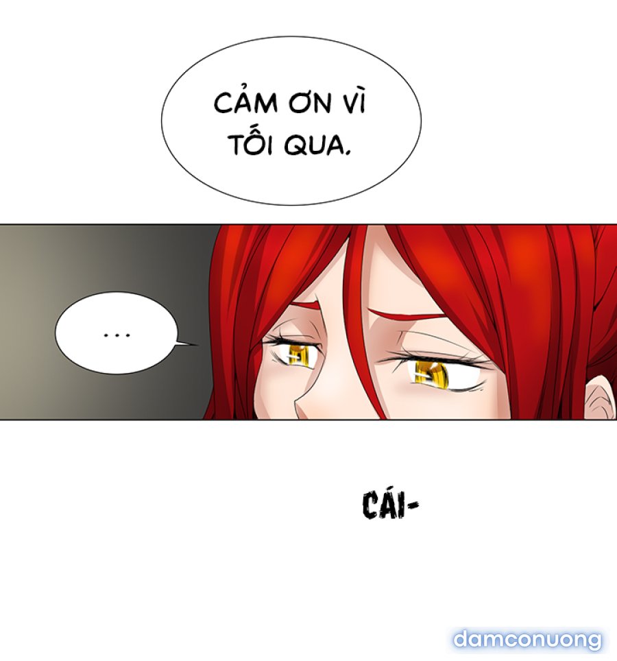 Hoạ Sĩ Khiêu Dâm 