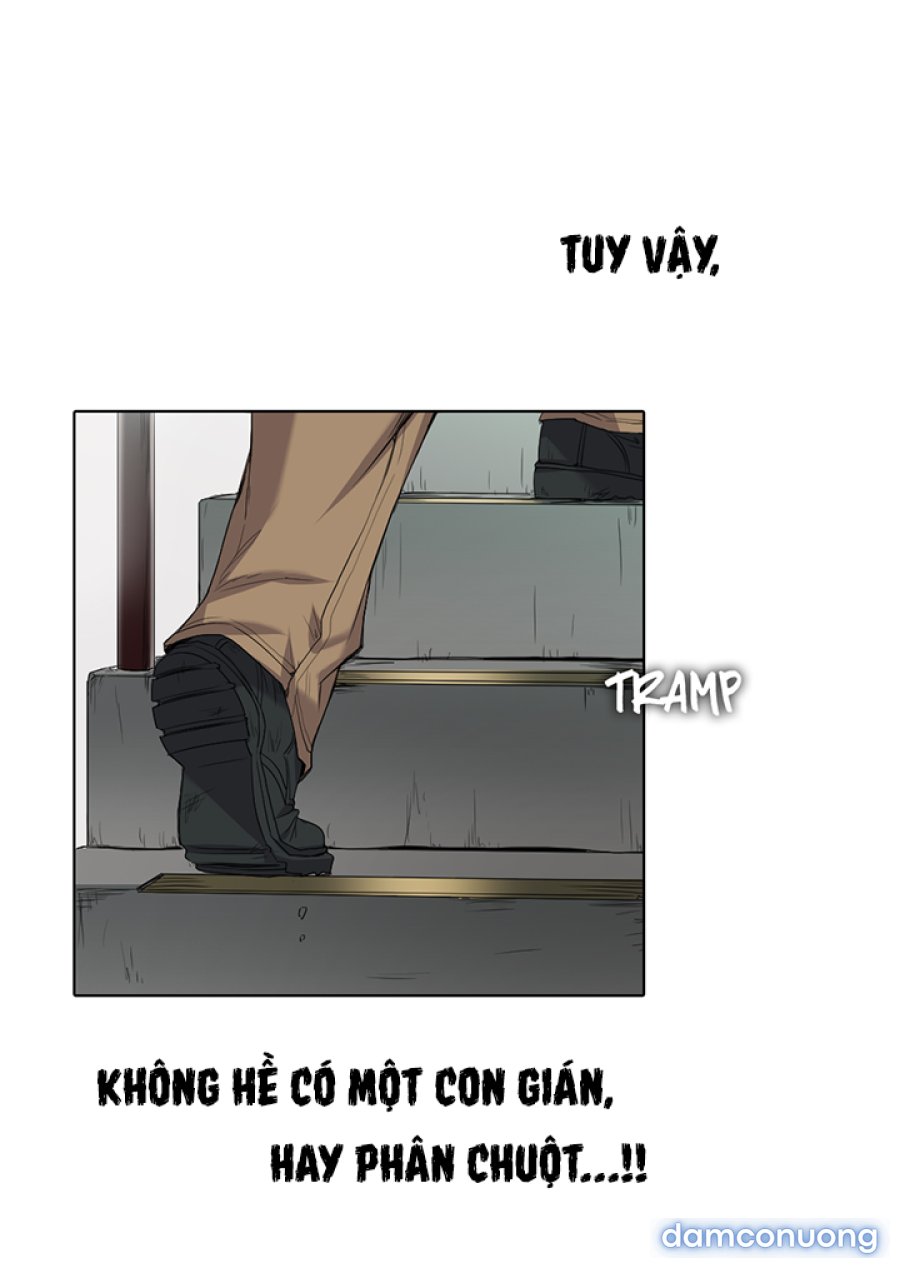 Hoạ Sĩ Khiêu Dâm 
