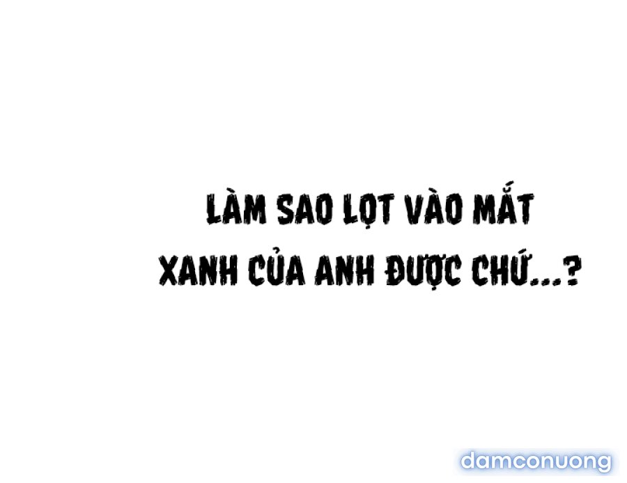 Hoạ Sĩ Khiêu Dâm 