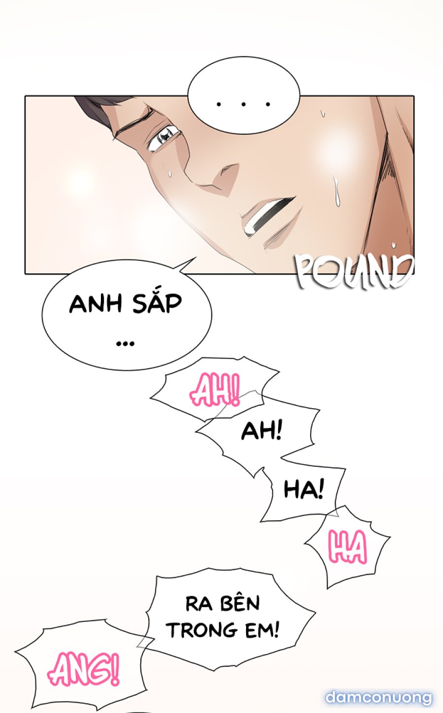 Hoạ Sĩ Khiêu Dâm 