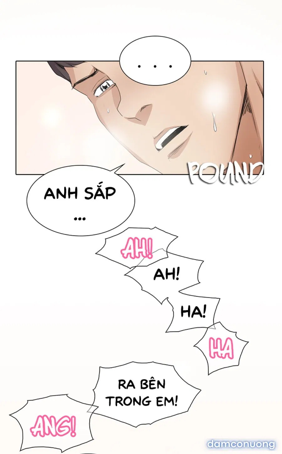 Hoạ Sĩ Khiêu Dâm 
