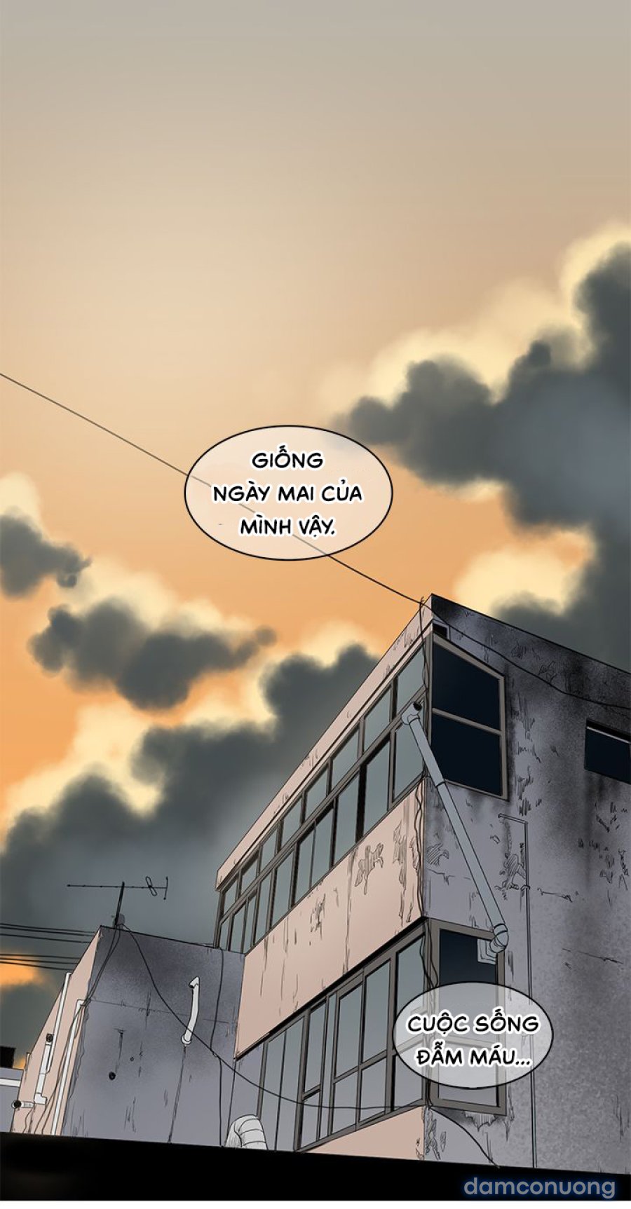 Hoạ Sĩ Khiêu Dâm 