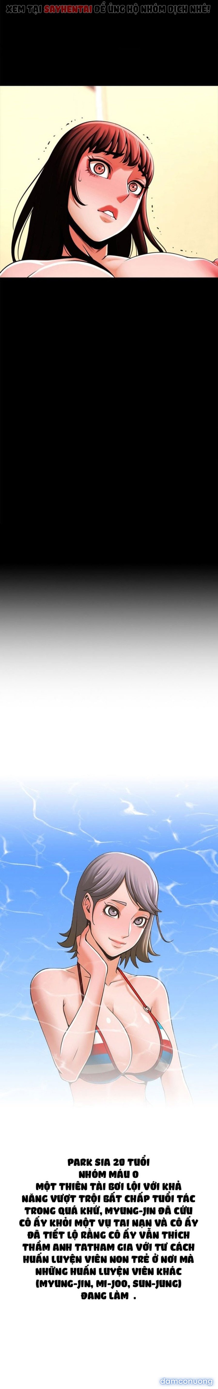 Dưới Vòng Radar 