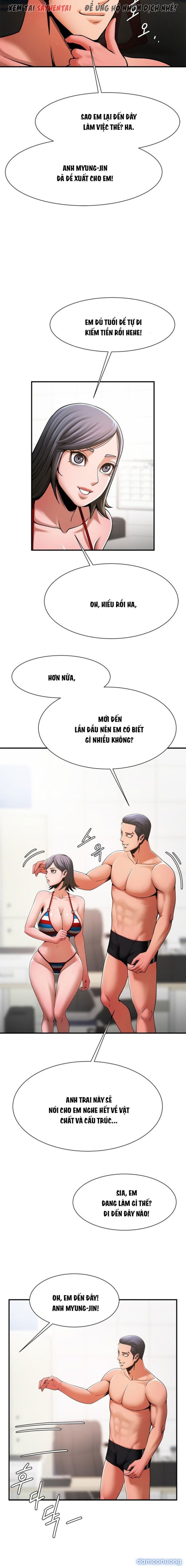 Dưới Vòng Radar 