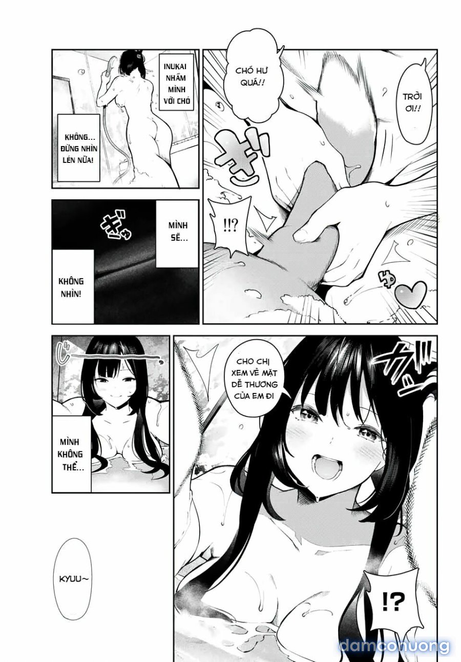 Cuộc Sống Khi Là Chó Cưng Của Inukai-san 