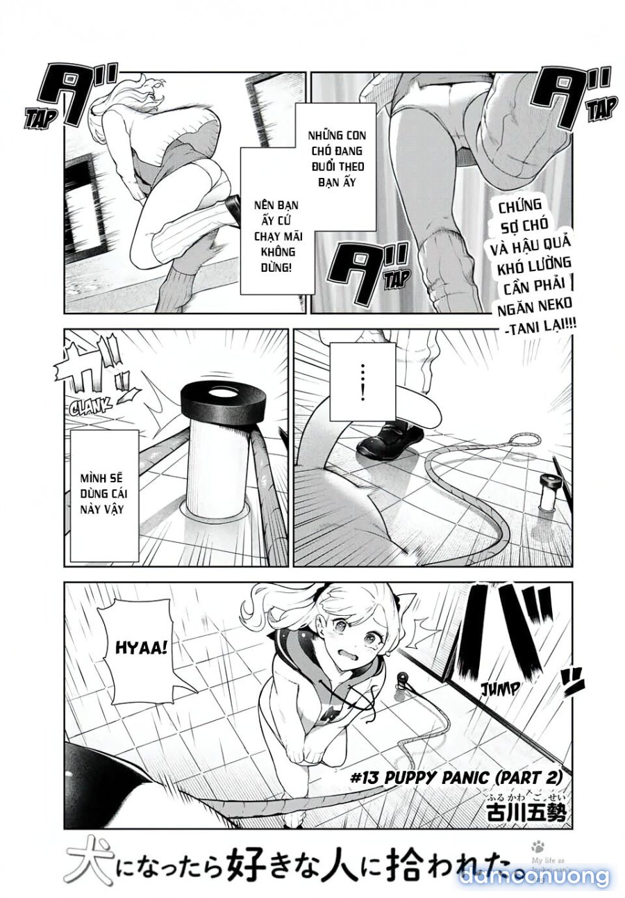 Cuộc Sống Khi Là Chó Cưng Của Inukai-san 
