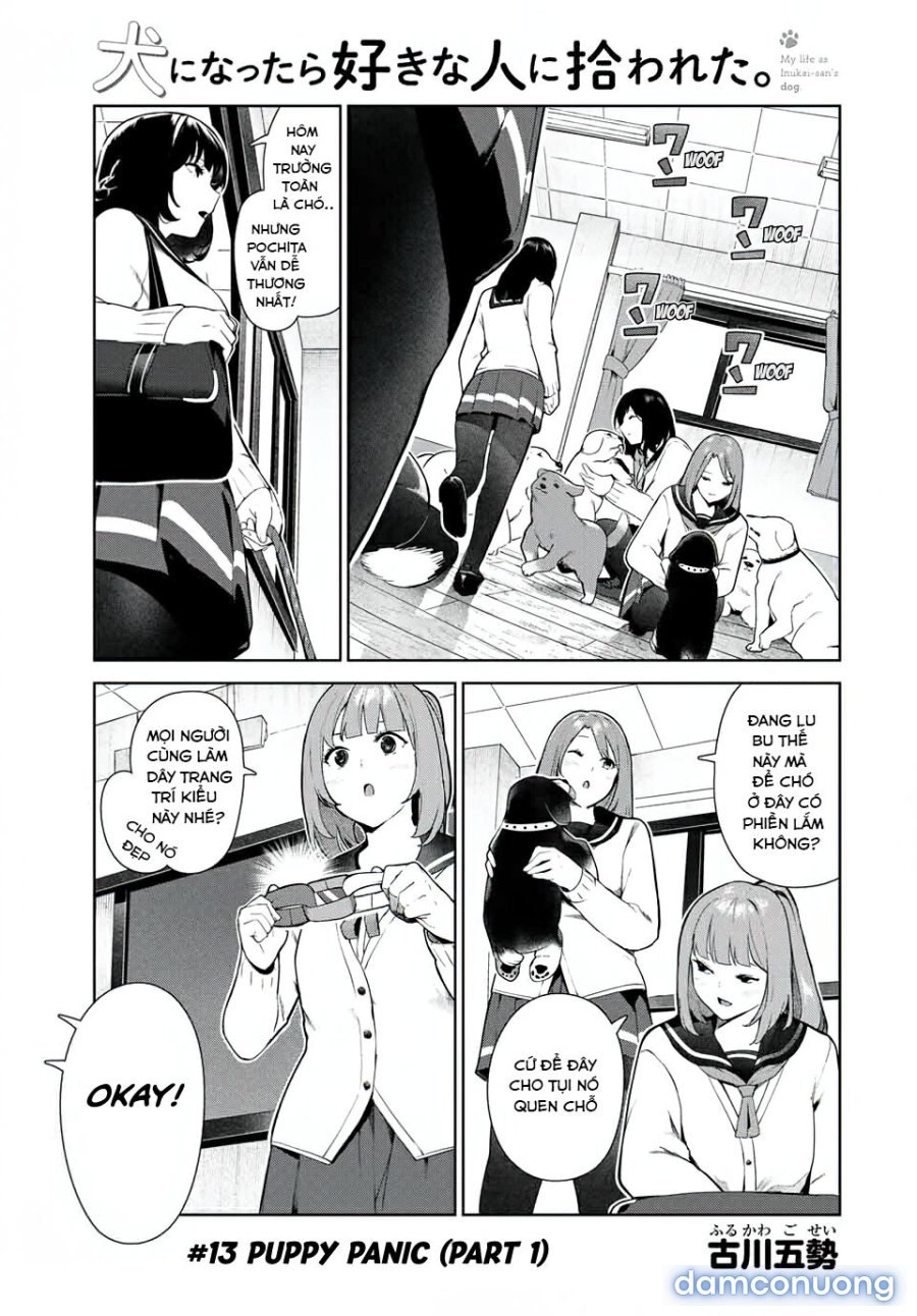 Cuộc Sống Khi Là Chó Cưng Của Inukai-san 