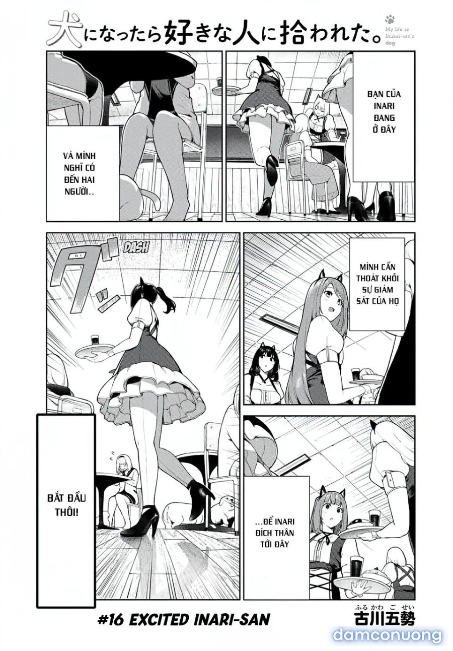 Cuộc Sống Khi Là Chó Cưng Của Inukai-san 