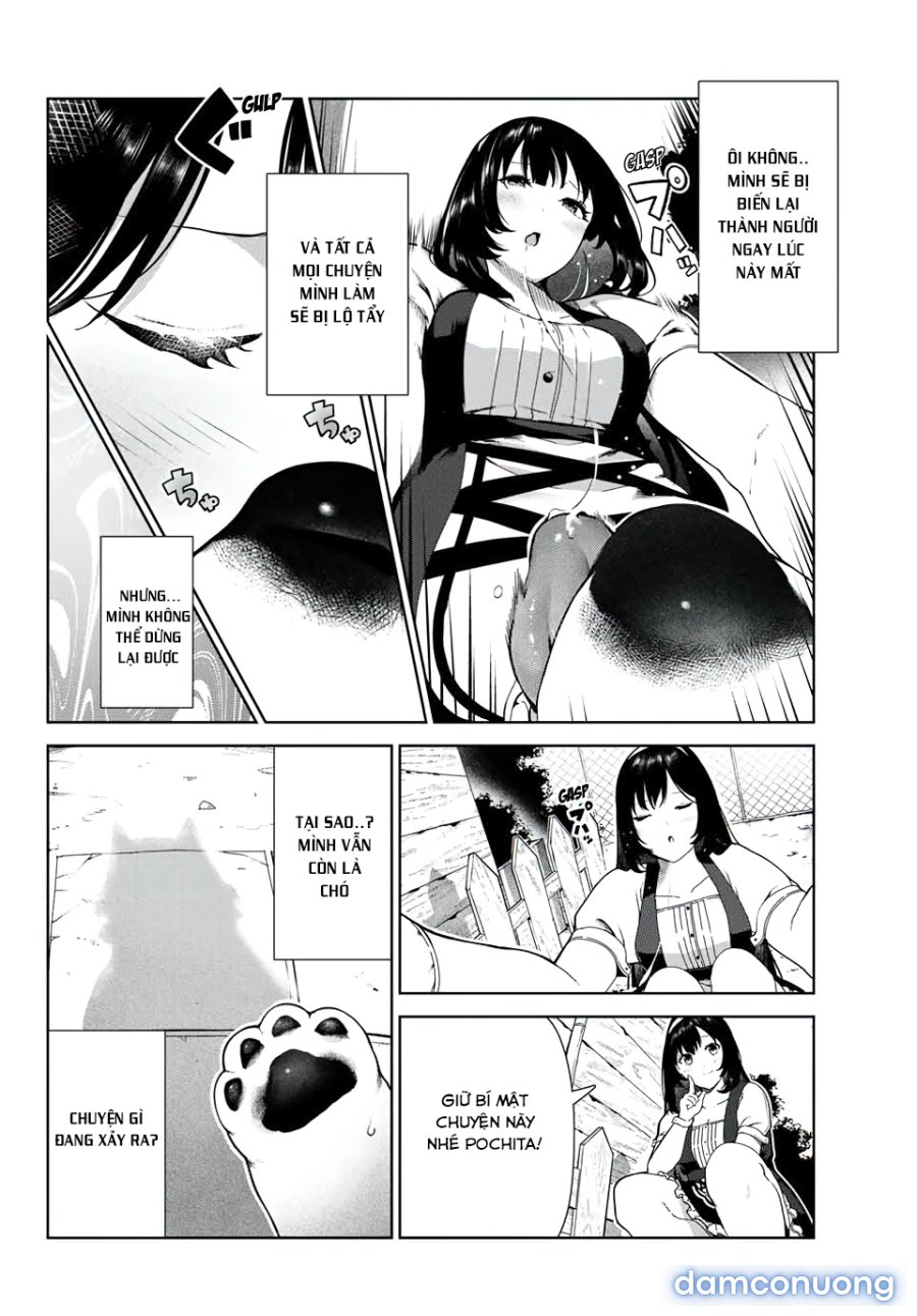 Cuộc Sống Khi Là Chó Cưng Của Inukai-san 