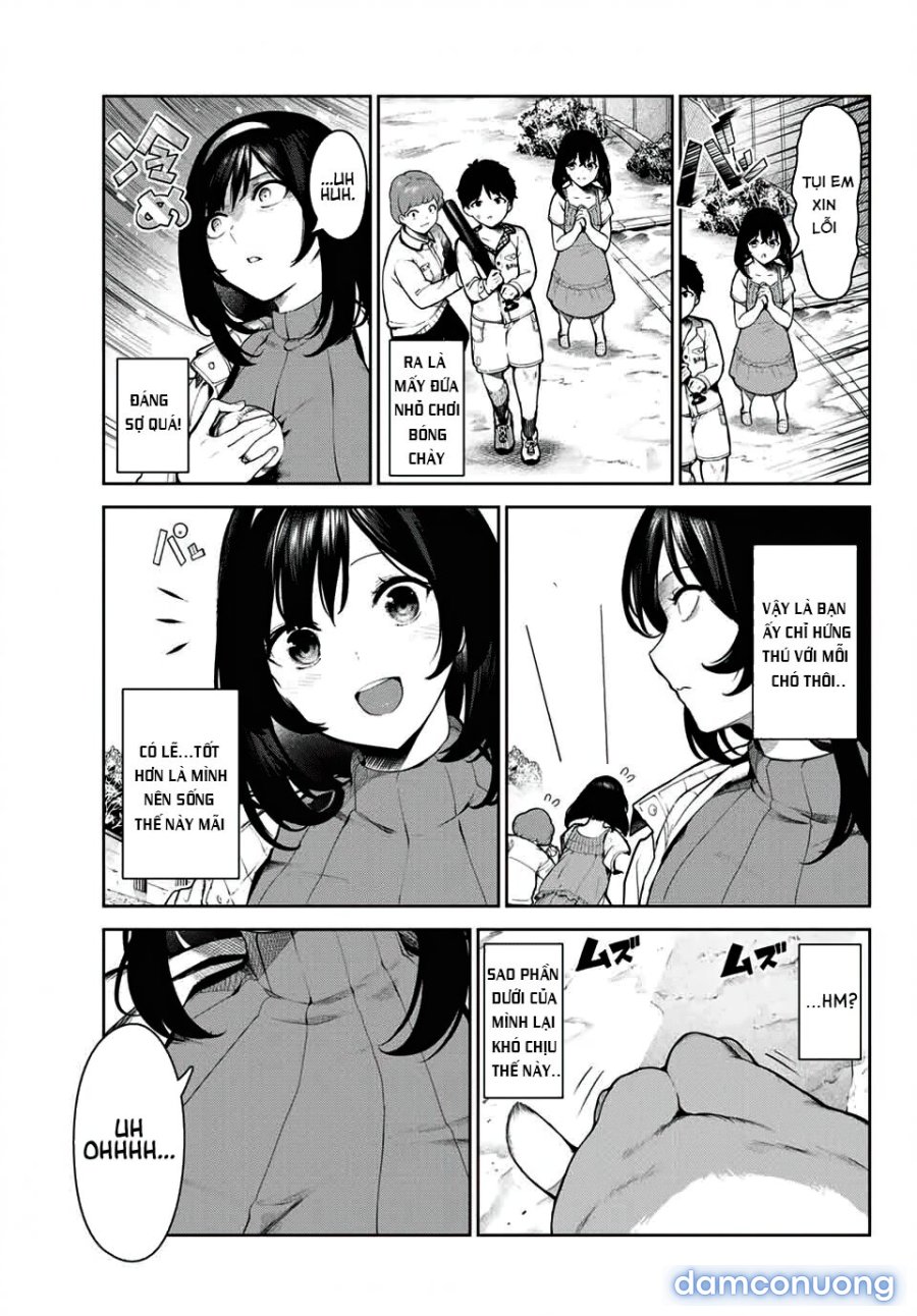 Cuộc Sống Khi Là Chó Cưng Của Inukai-san 