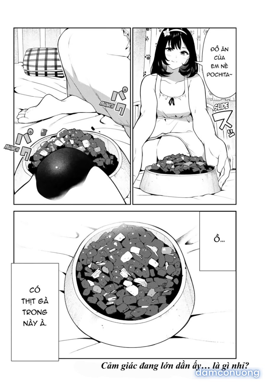 Cuộc Sống Khi Là Chó Cưng Của Inukai-san 