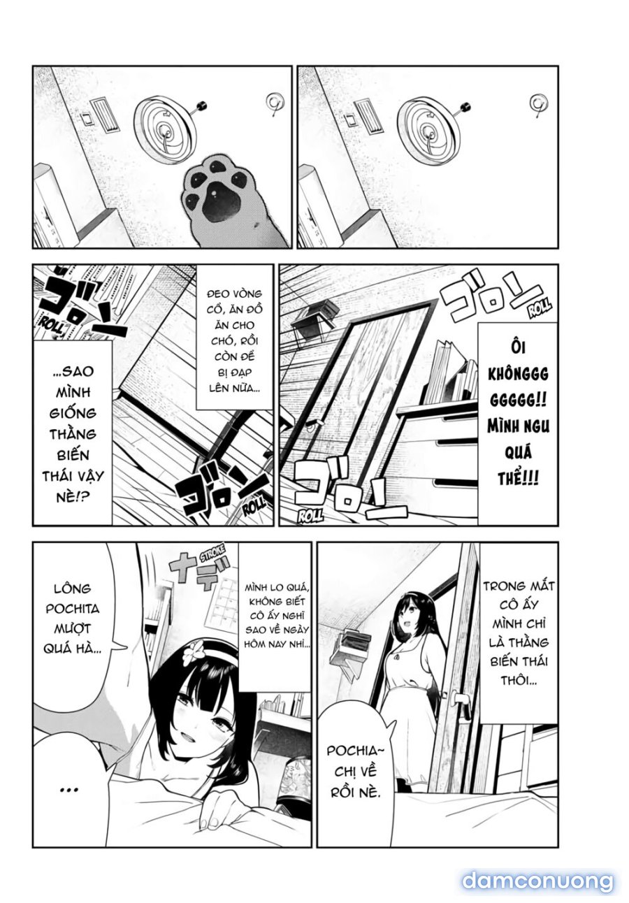 Cuộc Sống Khi Là Chó Cưng Của Inukai-san 