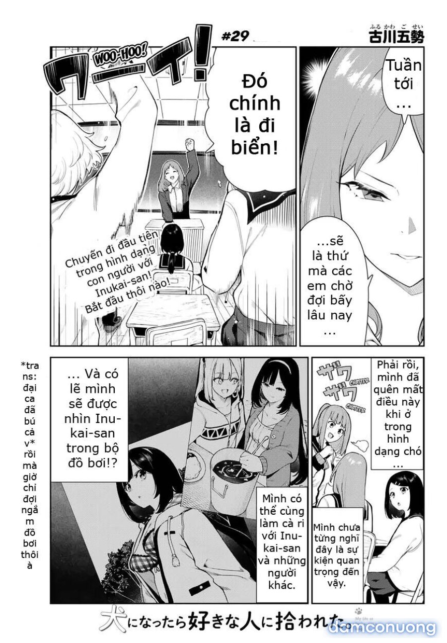 Cuộc Sống Khi Là Chó Cưng Của Inukai-san 