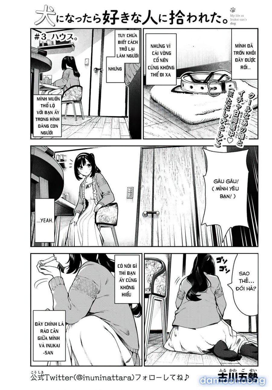 Cuộc Sống Khi Là Chó Cưng Của Inukai-san 
