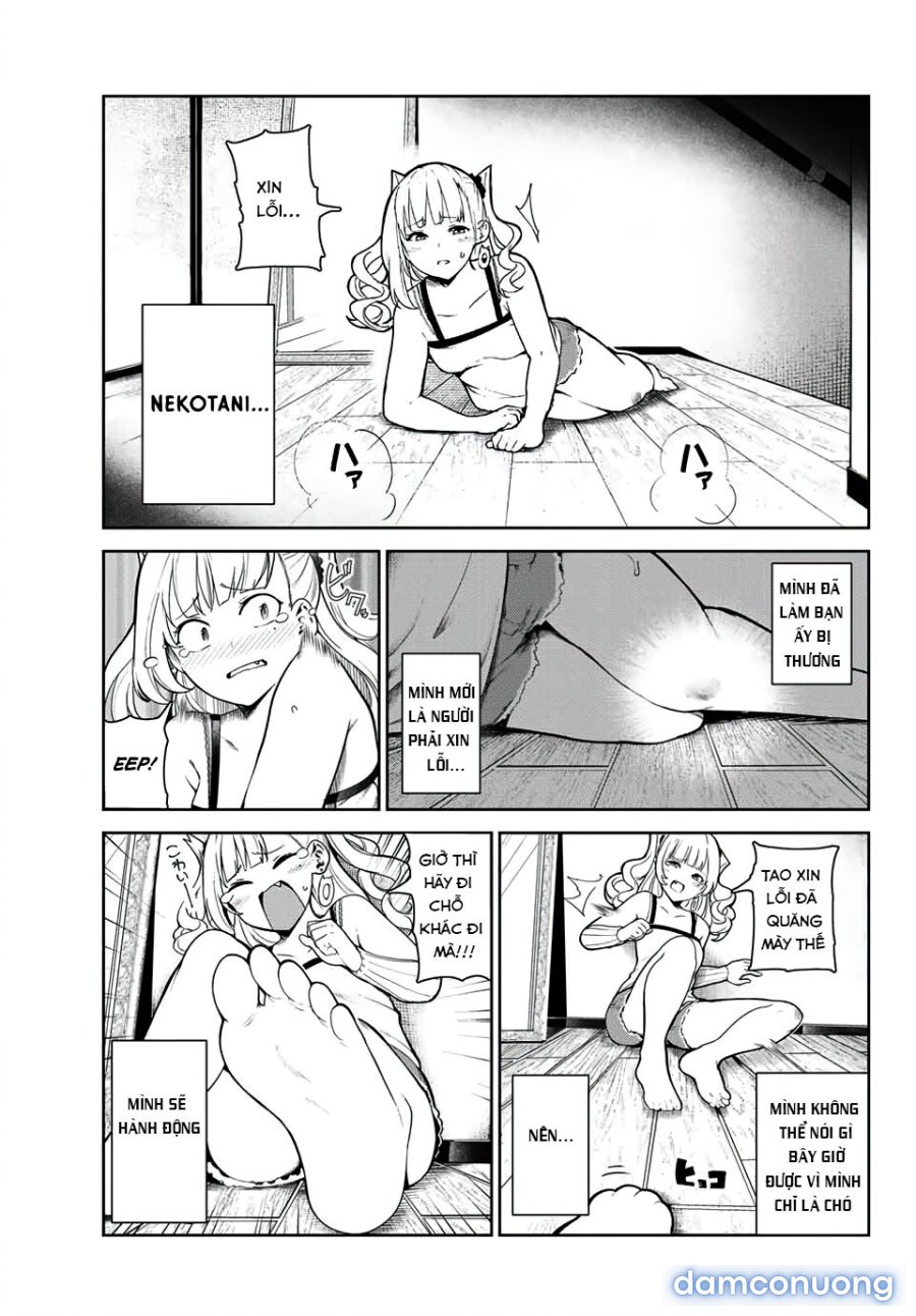 Cuộc Sống Khi Là Chó Cưng Của Inukai-san 