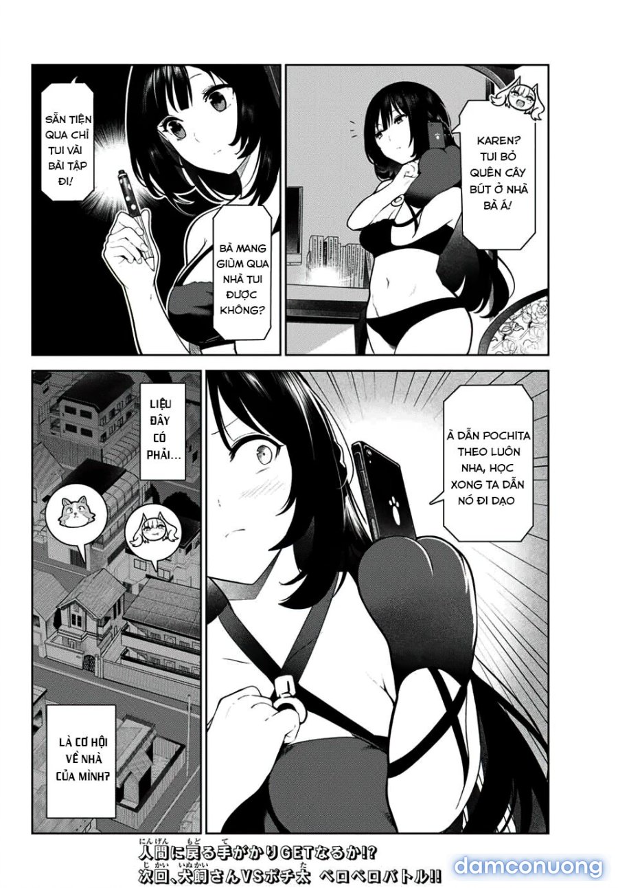 Cuộc Sống Khi Là Chó Cưng Của Inukai-san 