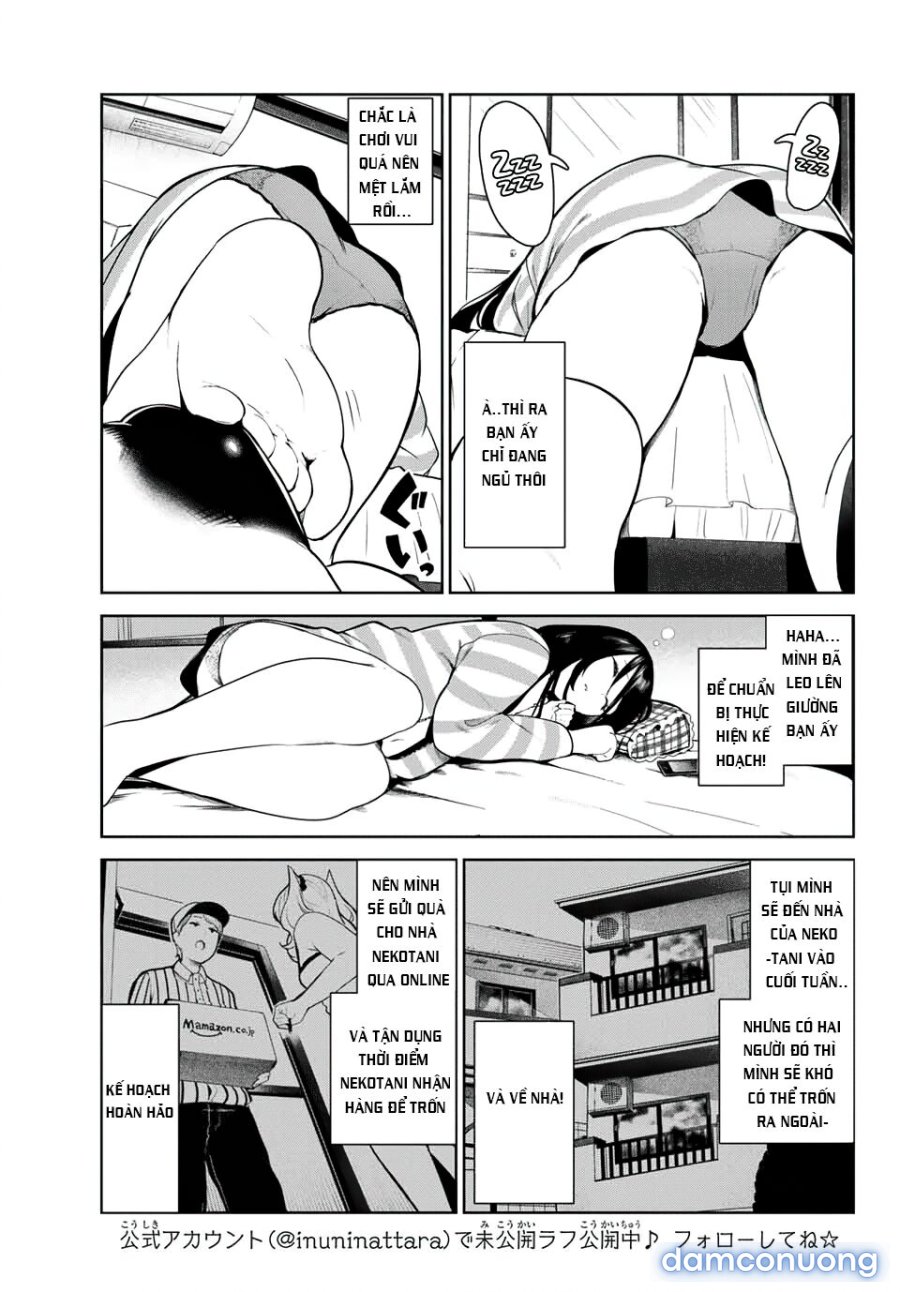 Cuộc Sống Khi Là Chó Cưng Của Inukai-san 