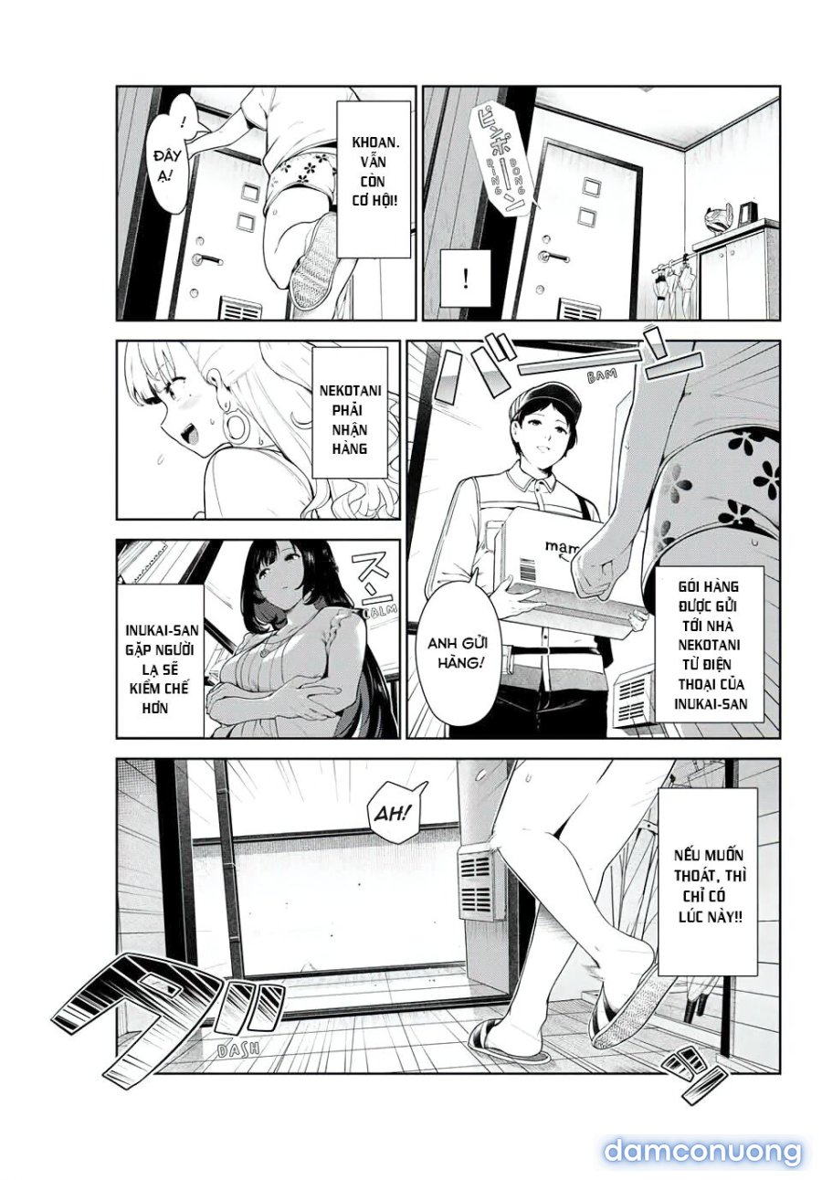 Cuộc Sống Khi Là Chó Cưng Của Inukai-san 