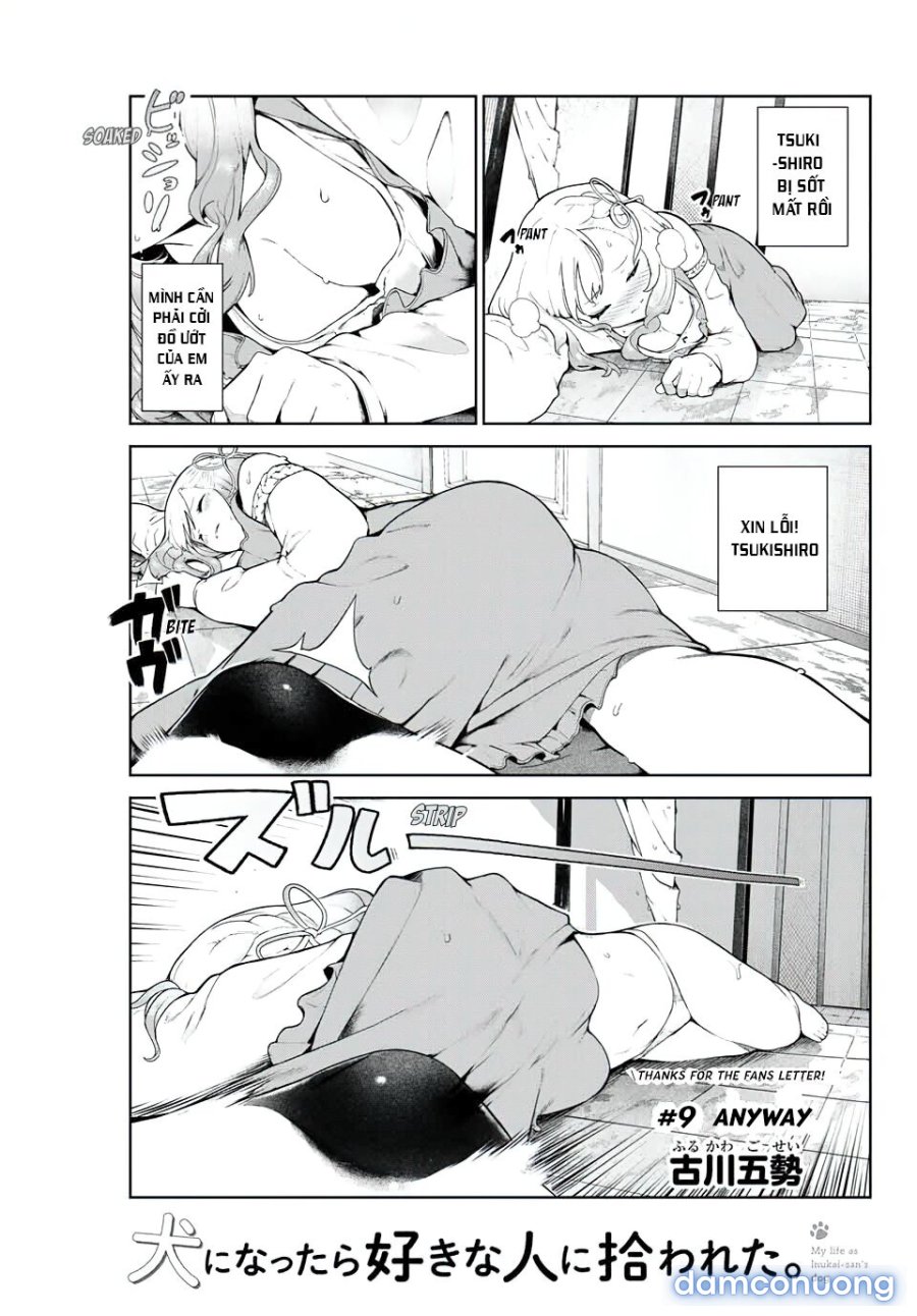 Cuộc Sống Khi Là Chó Cưng Của Inukai-san 