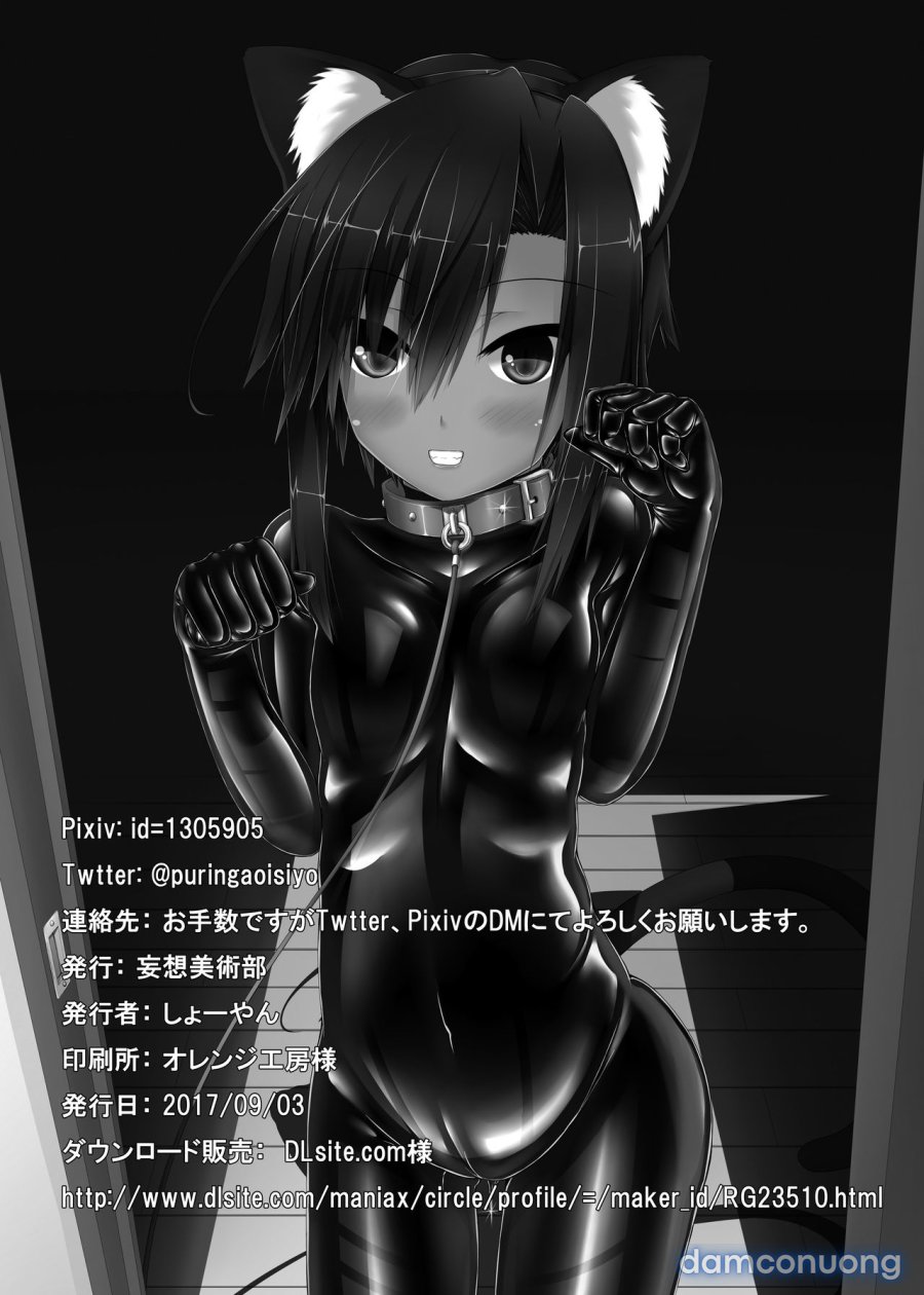 Kuroneko Choco Ice 