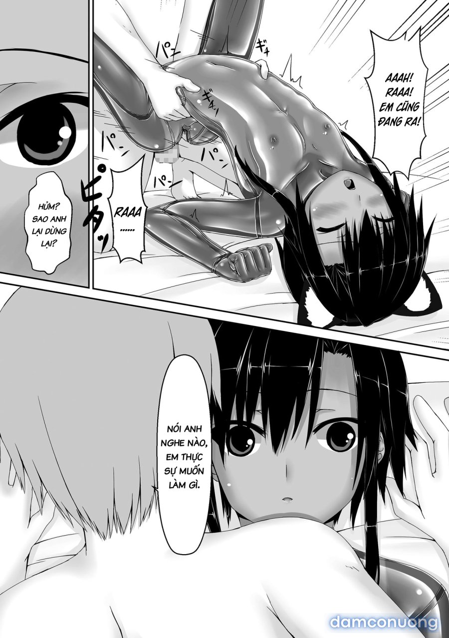 Kuroneko Choco Ice 