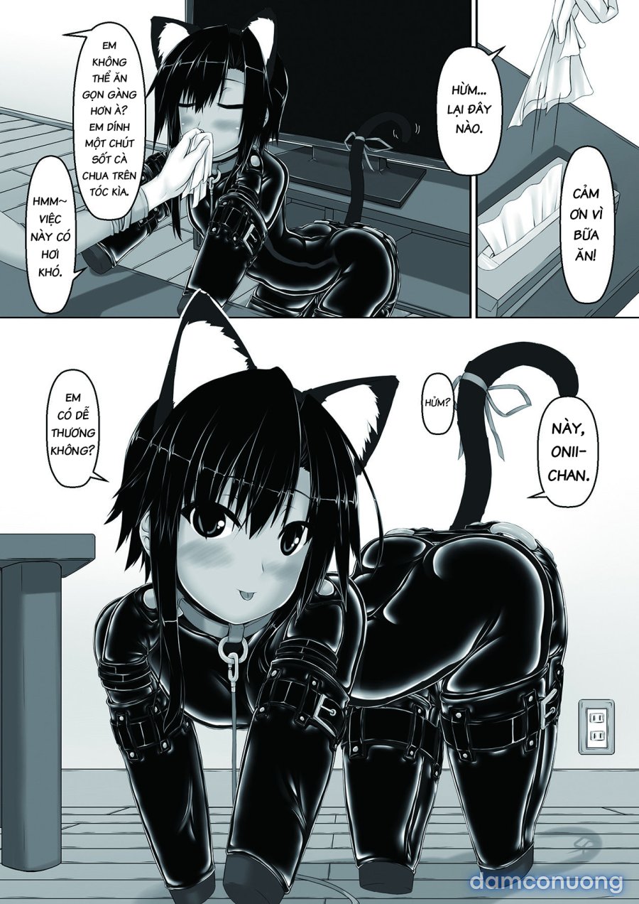 Kuroneko Choco Ice 