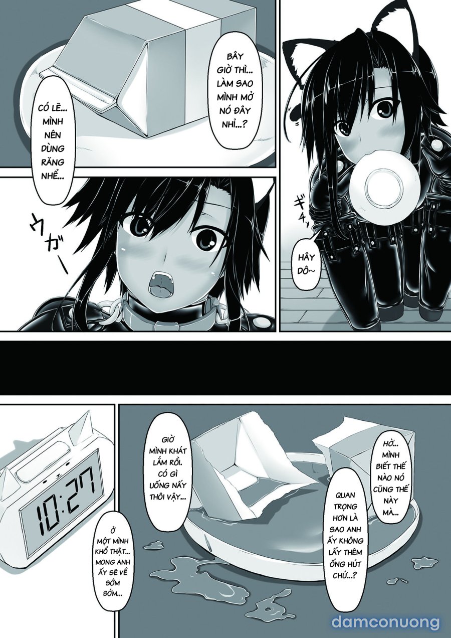 Kuroneko Choco Ice 