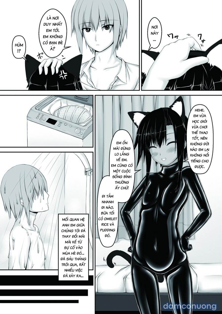 Kuroneko Choco Ice 