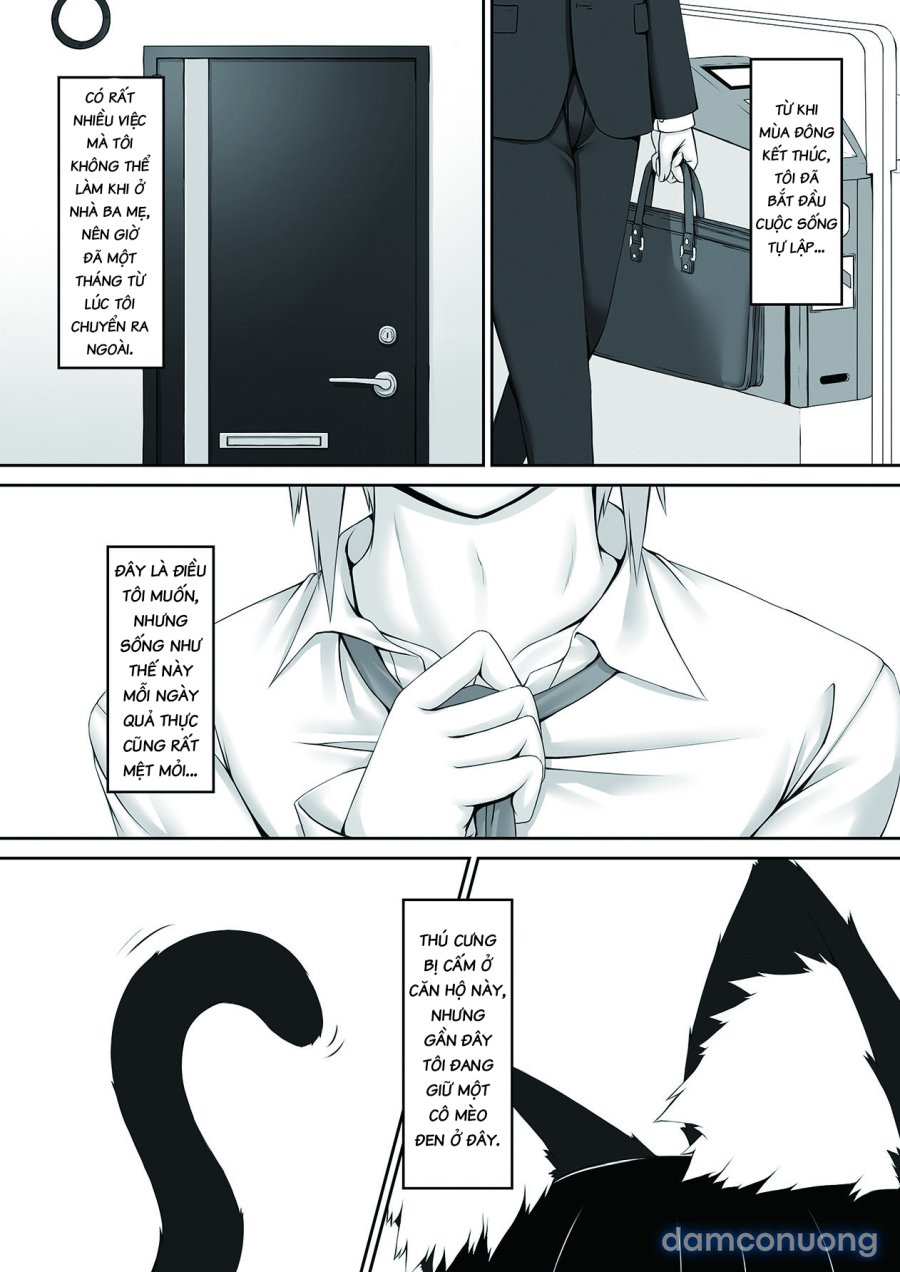 Kuroneko Choco Ice 