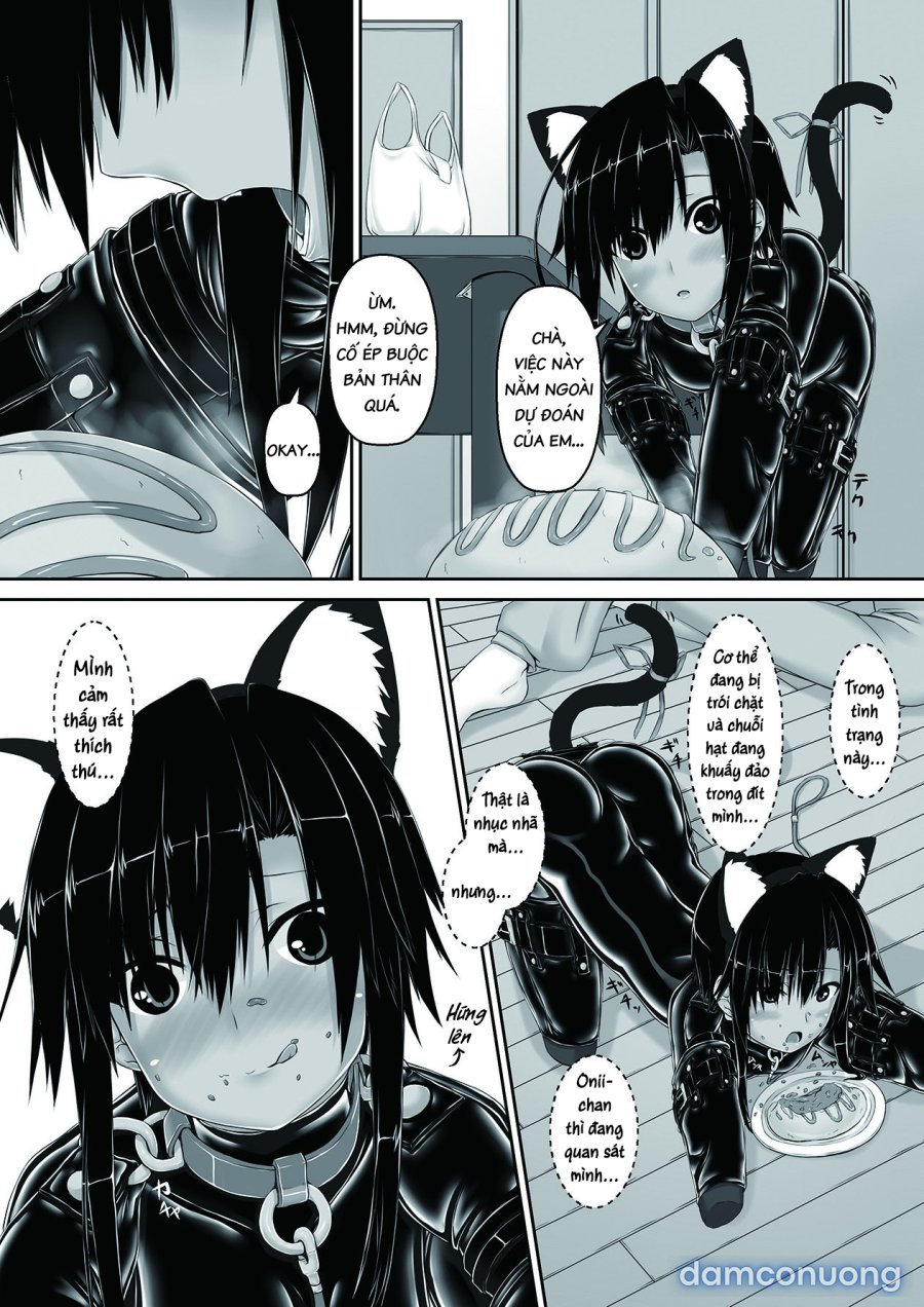Kuroneko Choco Ice 